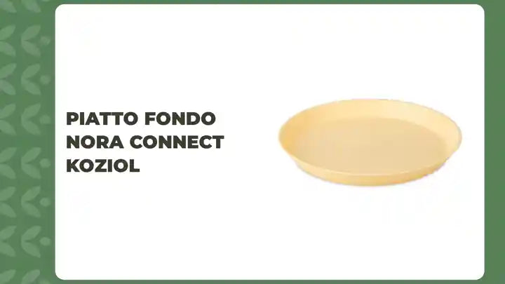 Piatto fondo Nora Connect Koziol by@Outfy