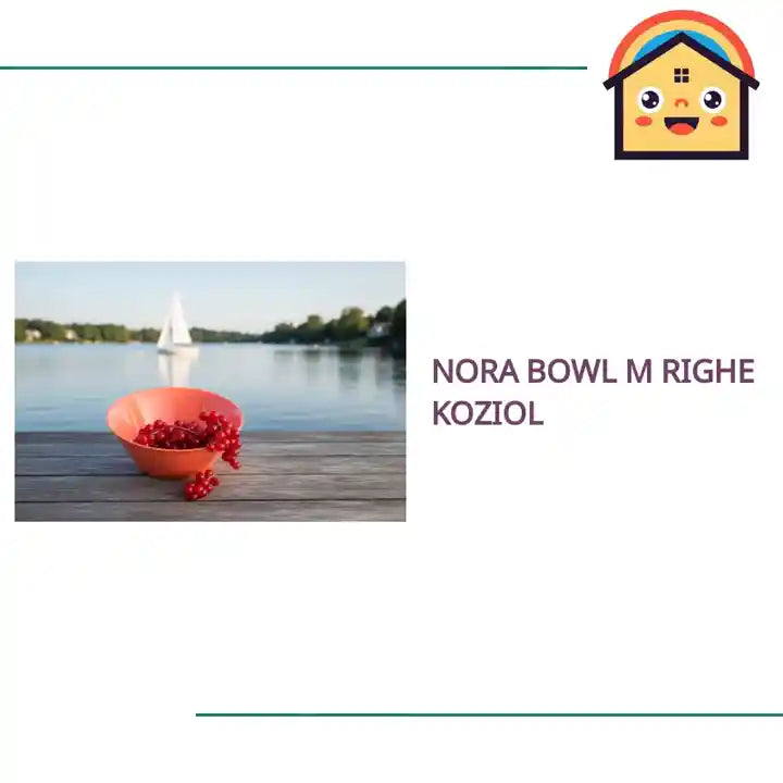NORA BOWL M RIGHE KOZIOL by@Outfy